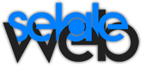 Sancaktepe Web Tasarım